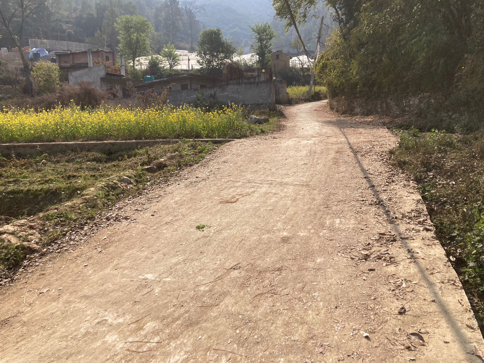 Picture of Mahalaxmi Municipality, Bagmati